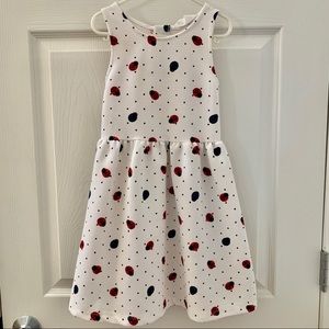 Girls Lady Bug Dress